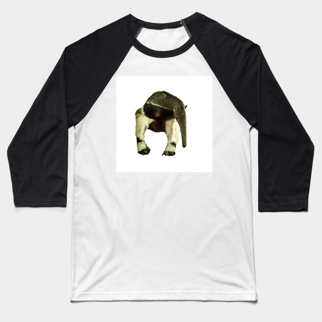 Giant anteater Baseball T-Shirt by Guardi